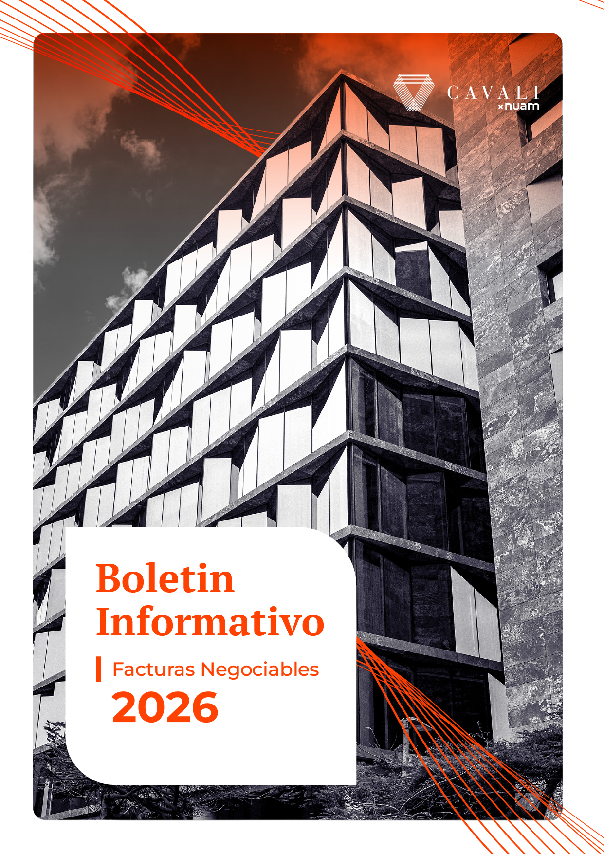 Boletín Semanal - Primera Semana